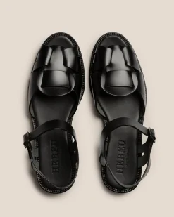 Ancora><noscript><img width=