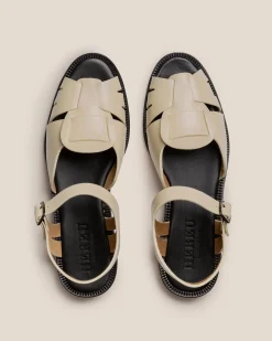 Ancora><noscript><img width=