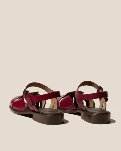 Ancora><noscript><img width=