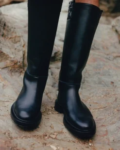 Anella><noscript><img width=