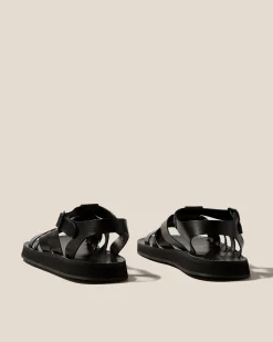 Beltra><noscript><img width=