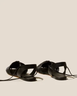 Calma><noscript><img width=