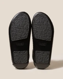 Cargol><noscript><img width=