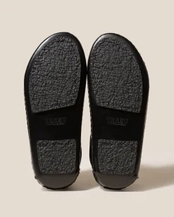 Cargol><noscript><img width=