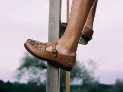 Ferriol><noscript><img width=