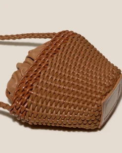 Fiol><noscript><img width=