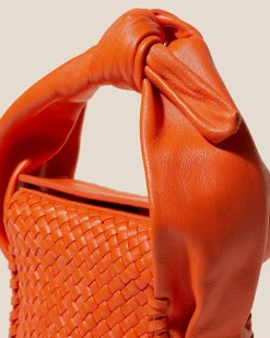 Molta><noscript><img width=