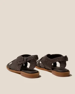 Penyo><noscript><img width=