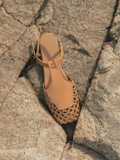 Reixa>Hereu Studio Hot