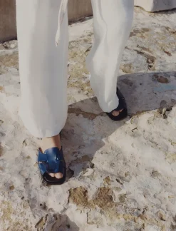 Roca><noscript><img width=