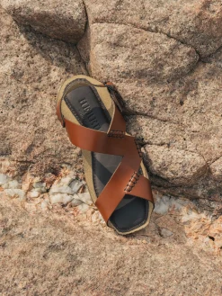 Suset><noscript><img width=